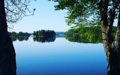 6 nyttiga saker inför sommaren