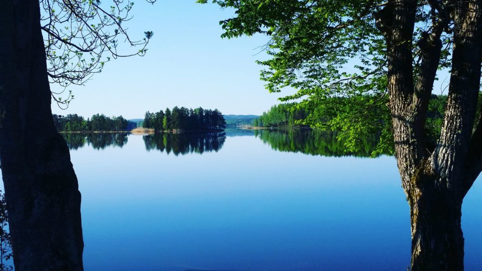 6 nyttiga saker inför sommaren