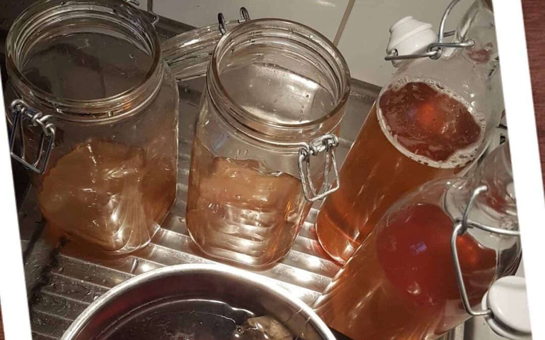 Recept på den trendiga drycken Kombucha